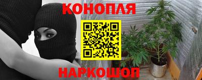 наркотики Лесосибирск