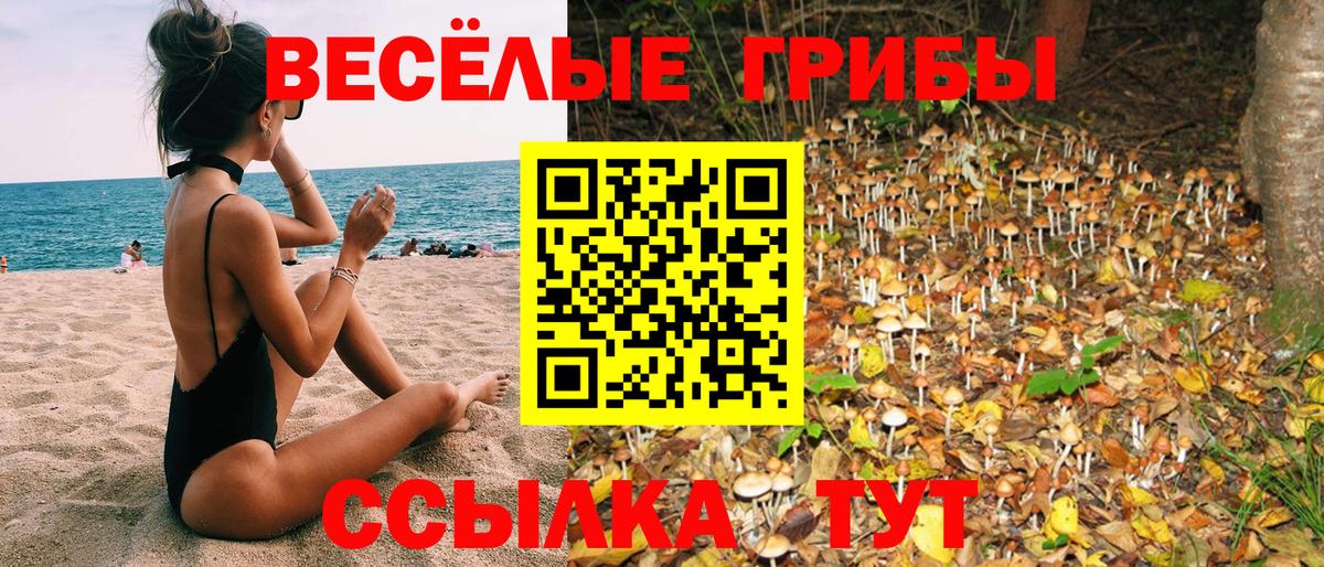 Узловая  Псилоцибиновые грибы Psilocybine cubensis  Вход с VPN  Галлюциногенные грибы Magic Shrooms 